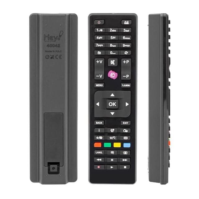 Vestel - SEG - Regal RC4875 Mini Universal LCD LED TV Kumandası